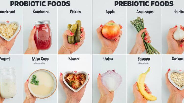 probiotik-prebiotik